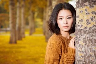 ia_200001179.jpg