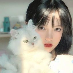ia_200001485.jpg