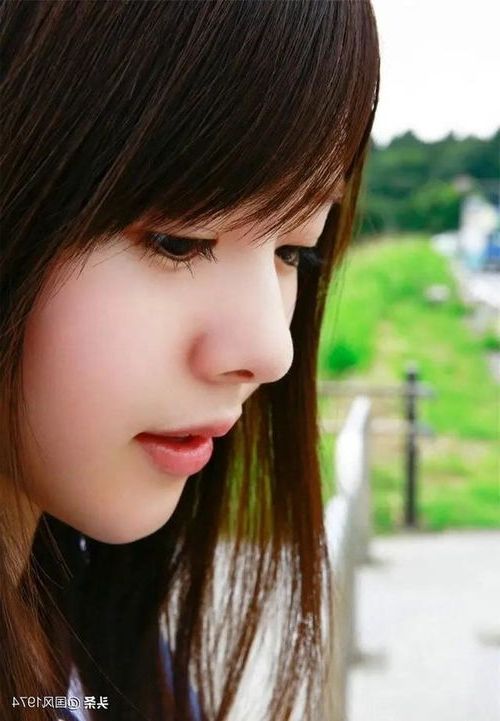 ia_100000015.jpg